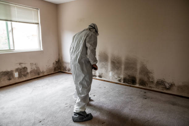 Best Industrial Mold Remediation in Marriott Slaterville, UT